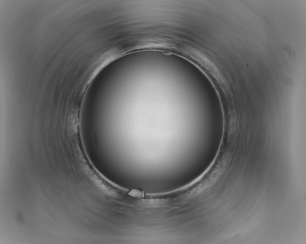 X0000111891377200907231547