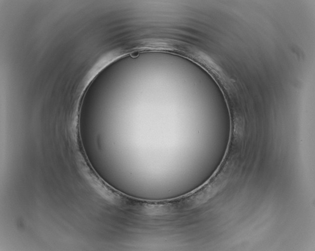 X0000111891378200907231547