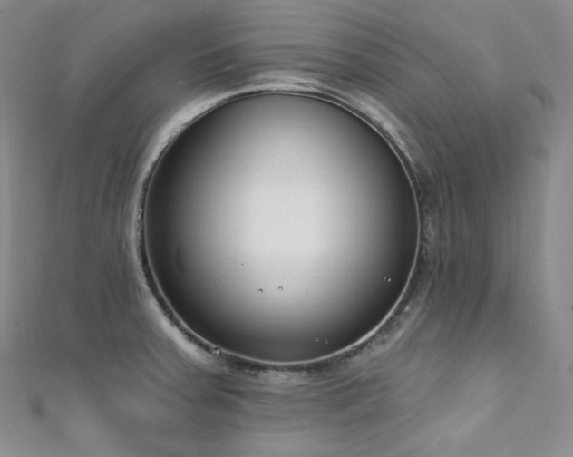 X0000111891379200907231547