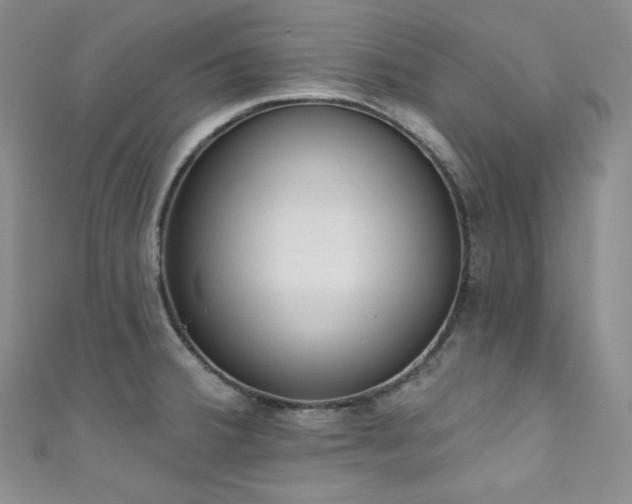 X0000111891380200907231547