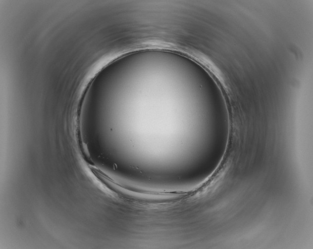 X0000111891381200907231547