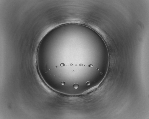 X0000111891383200907231547