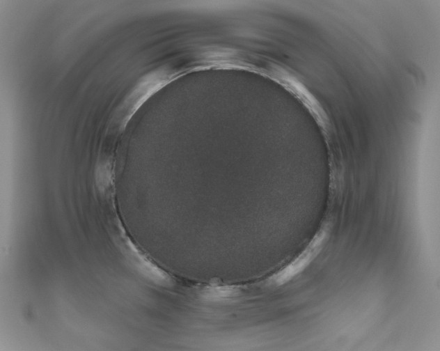 X0000111891385200907231547