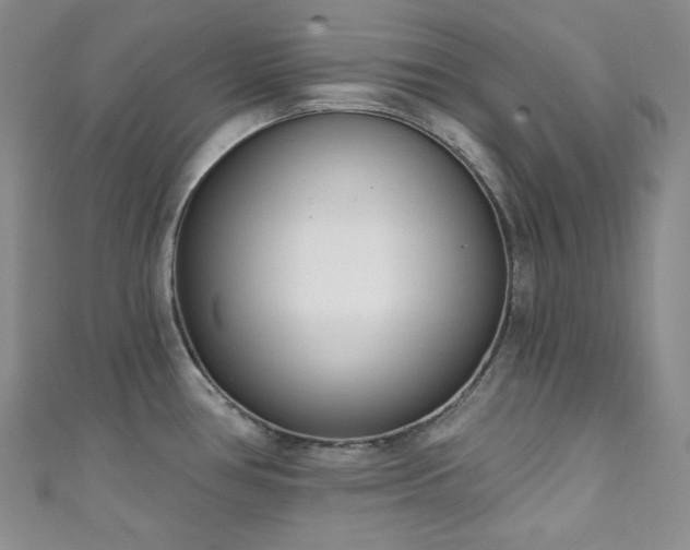 X0000111891386200907231547