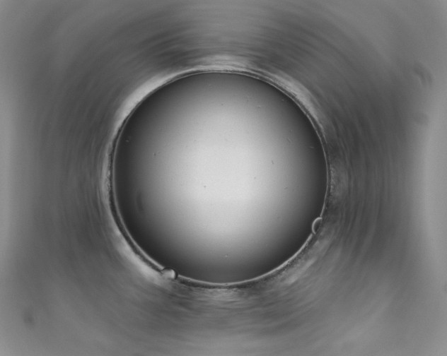 X0000111891387200907231547
