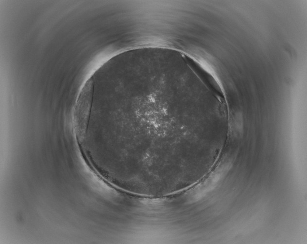 X0000111891389200907231547