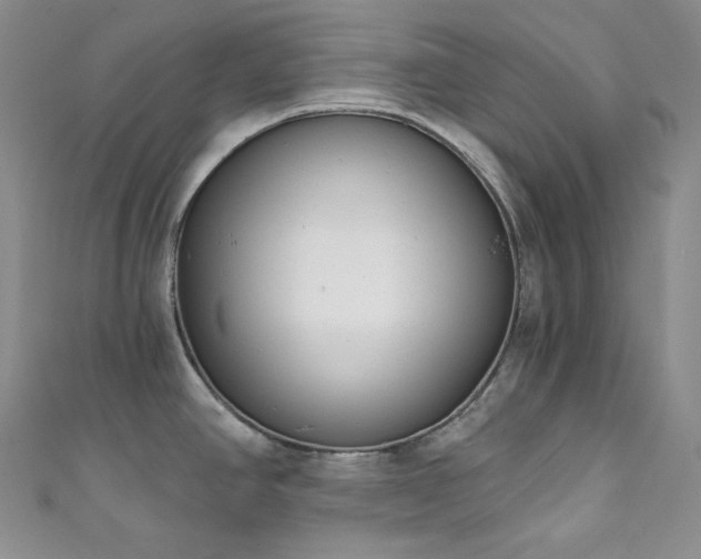 X0000111891390200907231547