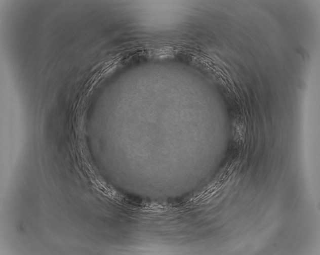 X0000111891393200907231546