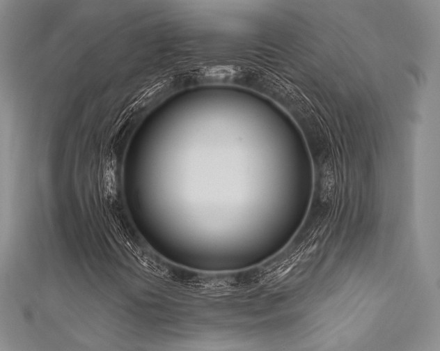 X0000111891394200907231546