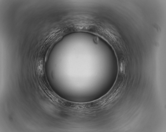 X0000111891396200907231546