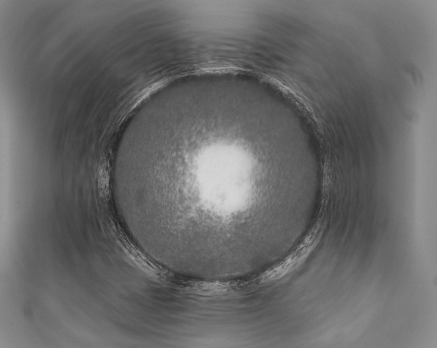X0000111891401200907231546