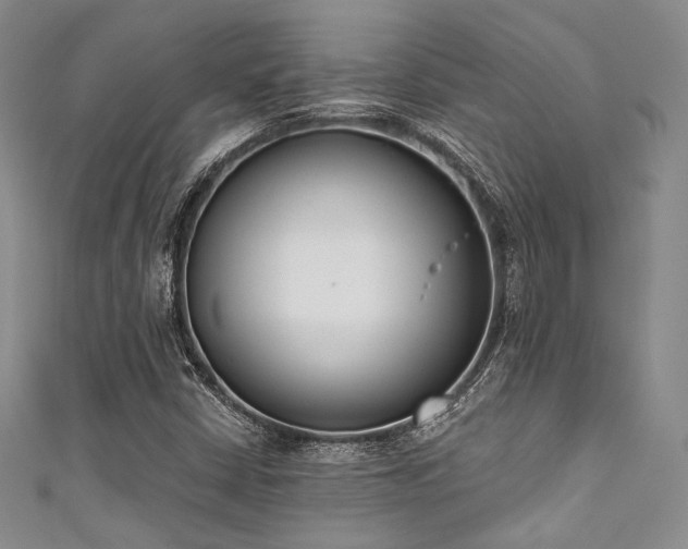 X0000111891402200907231546