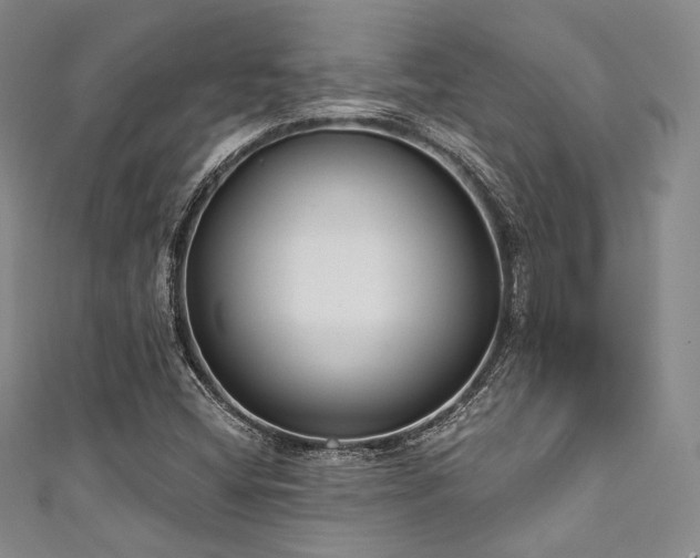 X0000111891404200907231546