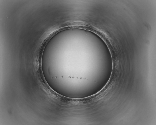 X0000111891407200907231546