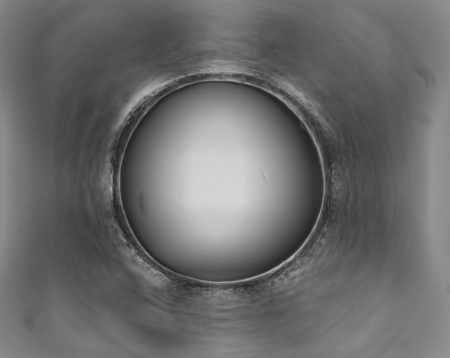 X0000111891408200907231546