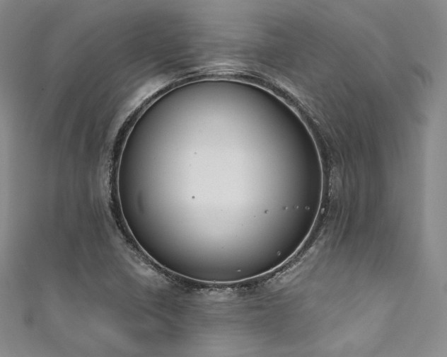X0000111891410200907231546