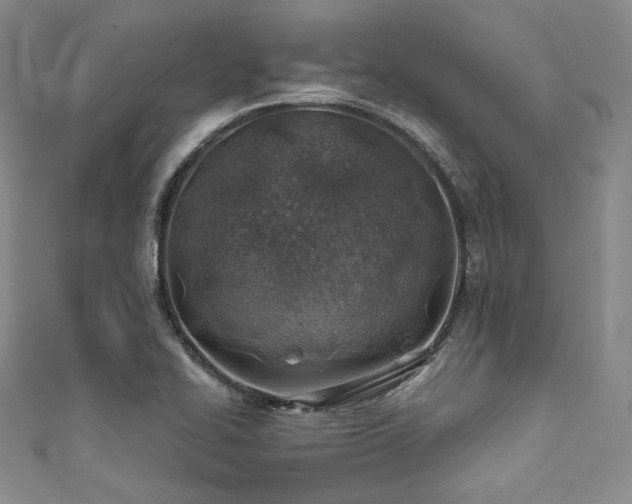 X0000111891414200907231546