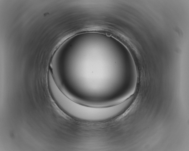 X0000111891417200907231546