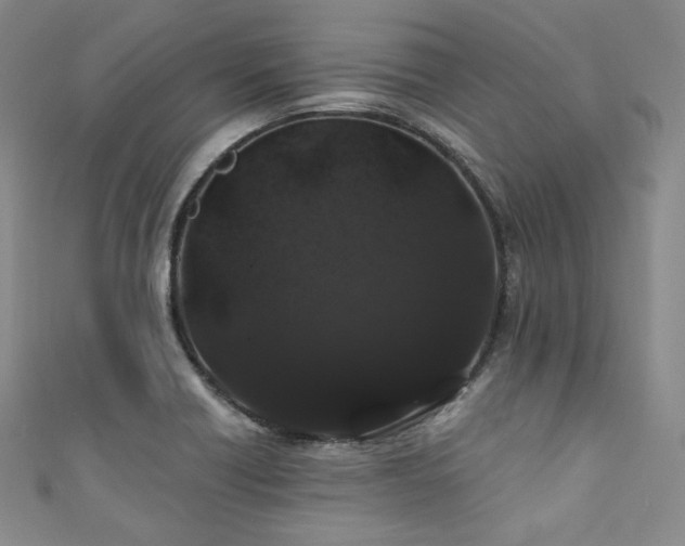 X0000111891418200907231546