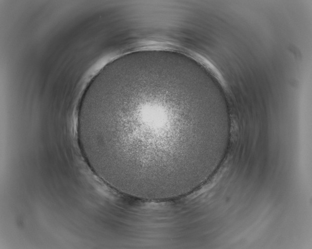 X0000111891419200907231546