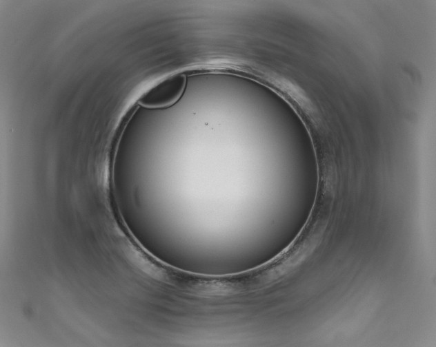 X0000111891420200907231546