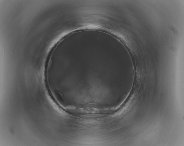 X0000111891422200907231546