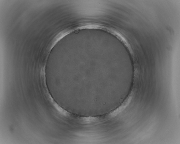 X0000111891425200907231546