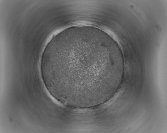X0000111891429200907231546