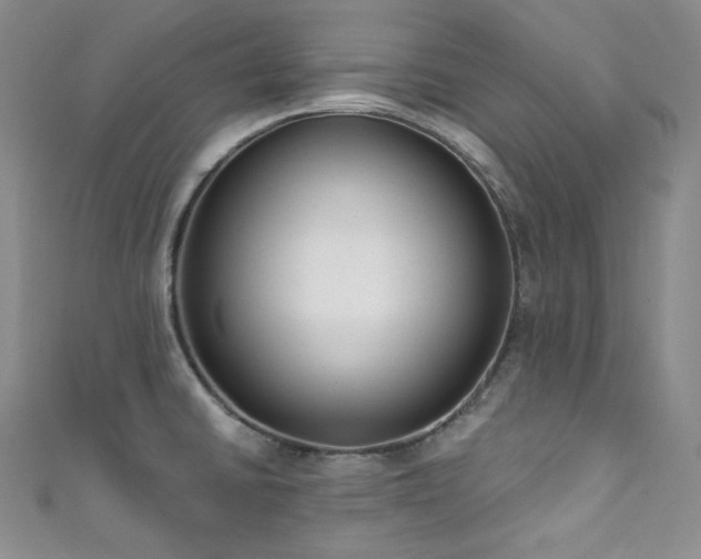 X0000111891430200907231546
