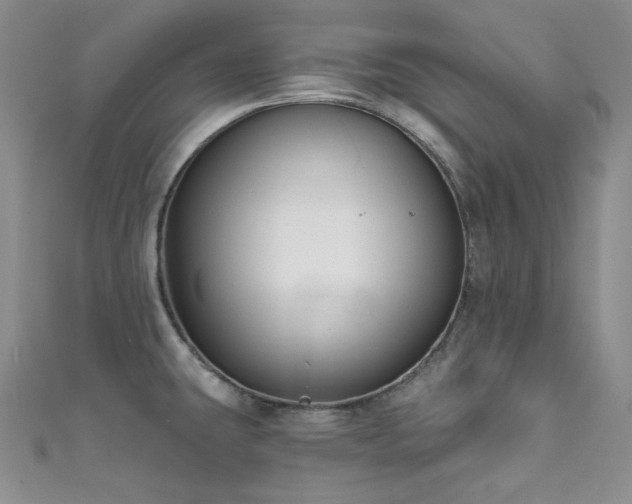 X0000111891431200907231546