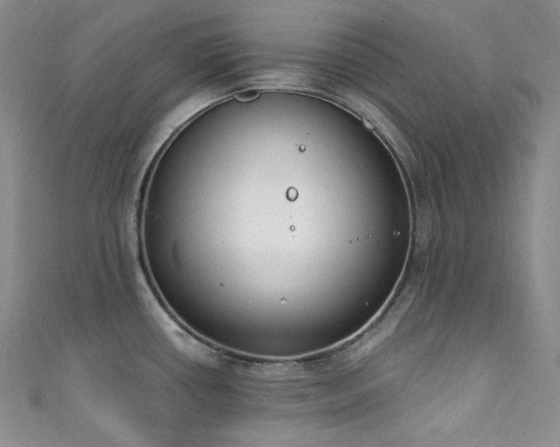 X0000111891434200907231547