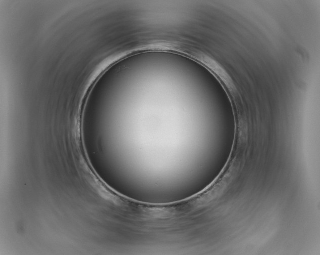 X0000111891436200907231547