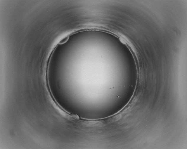 X0000111891437200907231547