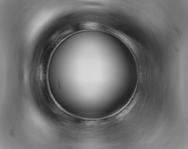 X0000111891438200907231547