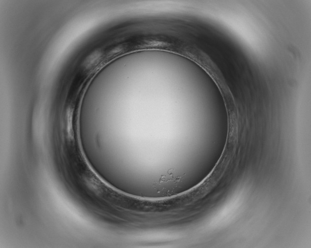 X0000111891439200907231547