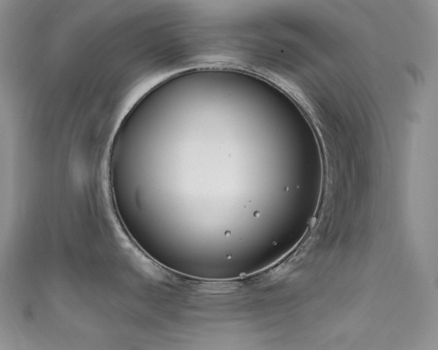 X0000111891440200907231547