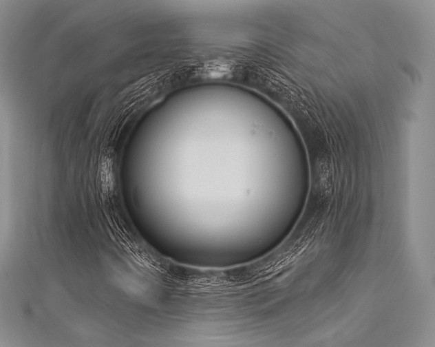 X0000111891442200907231546