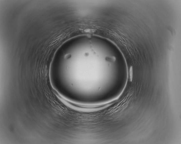 X0000111891443200907231546