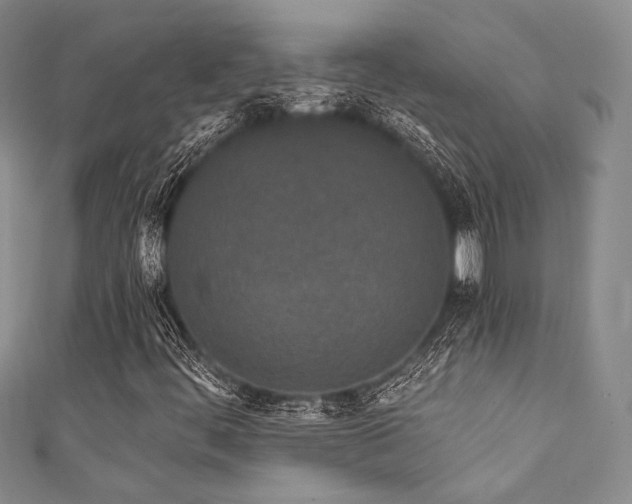 X0000111891444200907231546