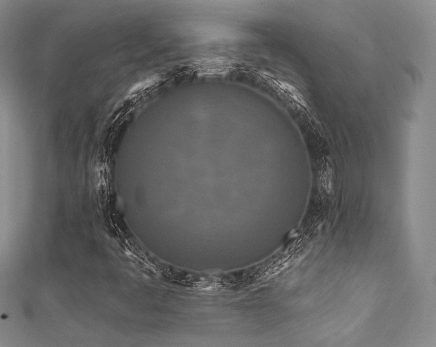 X0000111891445200907231546