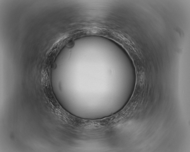 X0000111891446200907231546