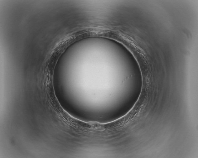 X0000111891447200907231546