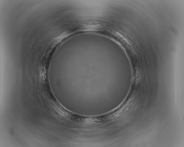 X0000111891449200907231546