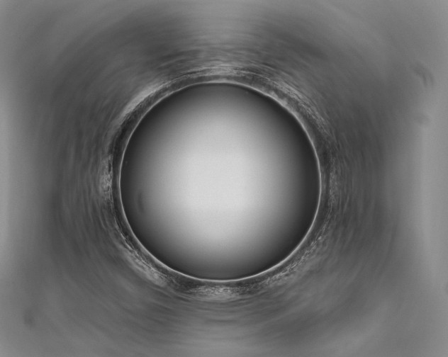 X0000111891450200907231546