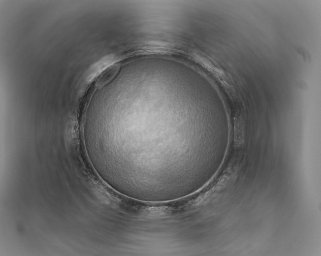 X0000111891453200907231546