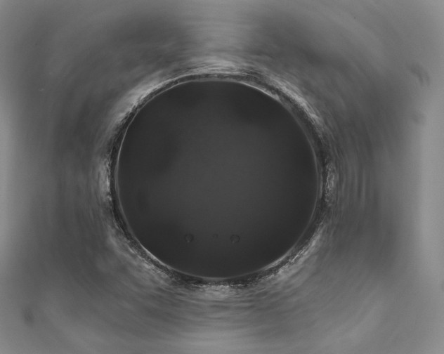 X0000111891455200907231546