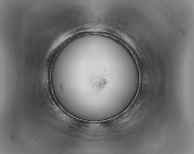 X0000111891456200907231546