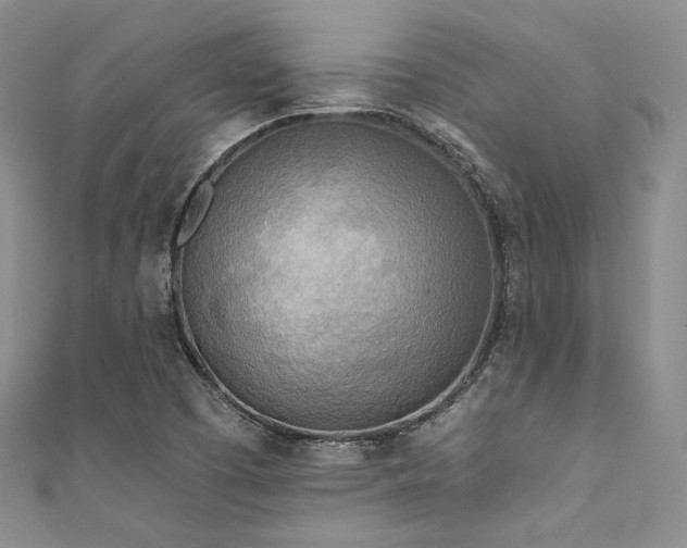 X0000111891457200907231546
