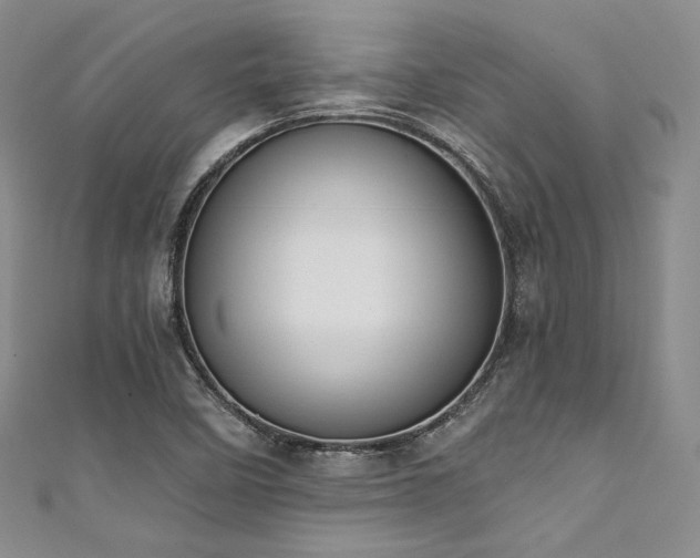 X0000111891458200907231546