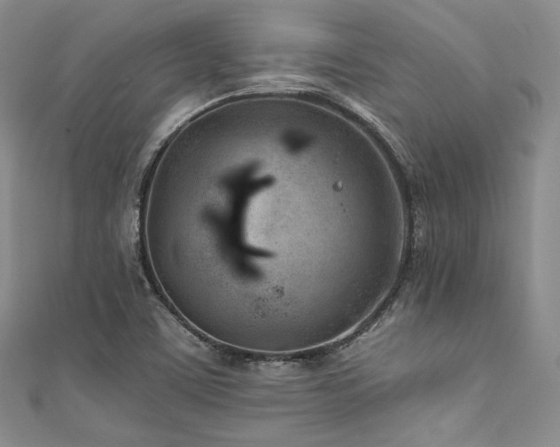 X0000111891459200907231546